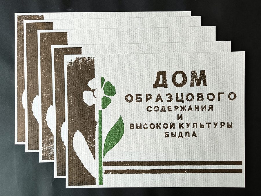 Дом образцового содержания