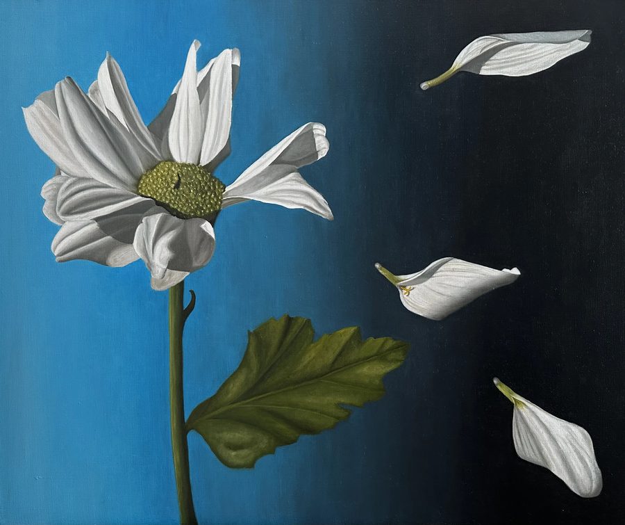 Petals, 2026