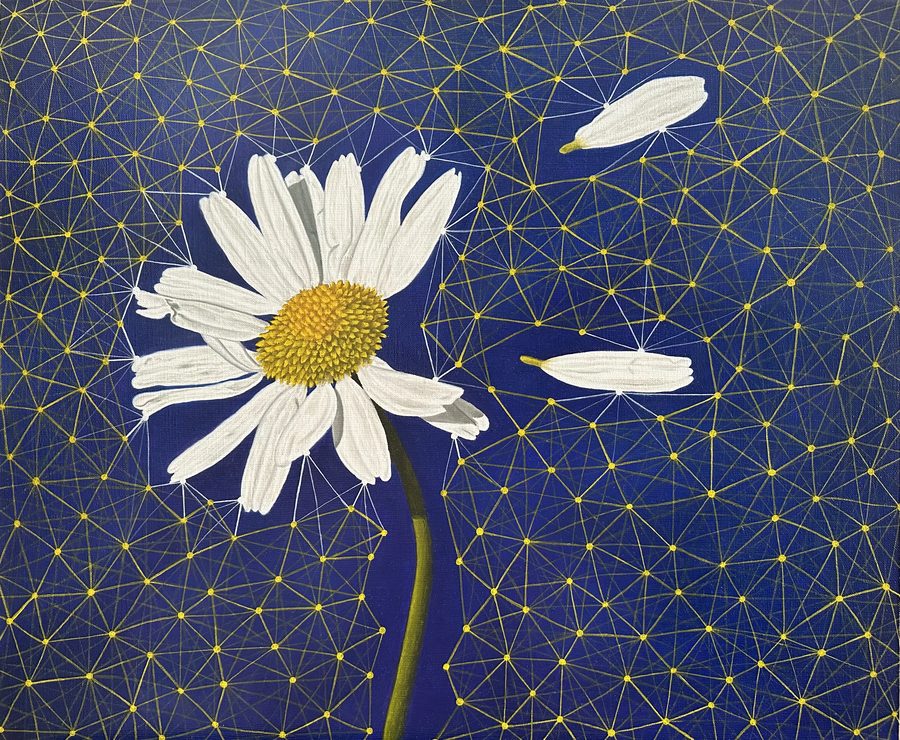 Chamomile, 2026