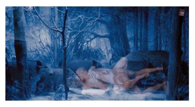 Дикие свиньи из серии «Музей природы или новый рай», 2001