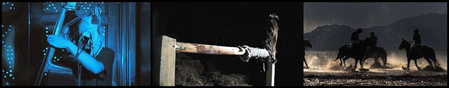 Hot Blood, Warm Blood, Cold Blood, 2011