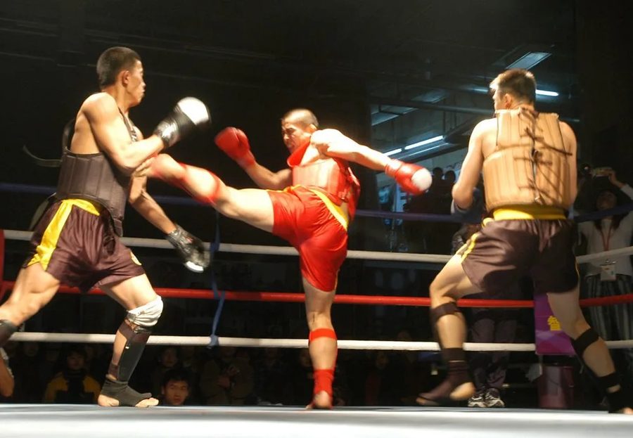 Contend for Hegemony (爭霸, 孙原 & 彭禹), 2003
