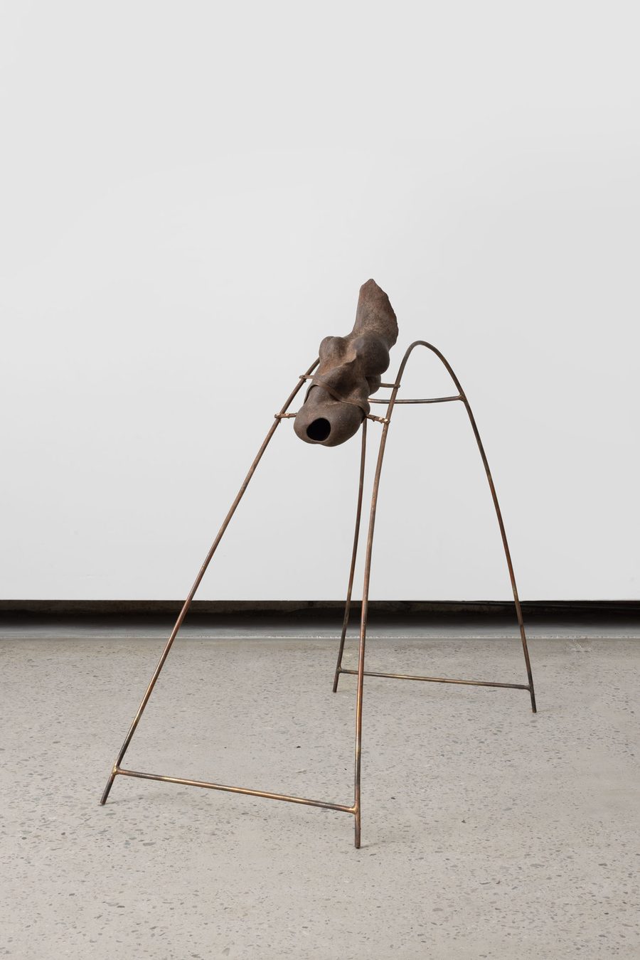 Bone and Mud – Cage Bridge, 2025