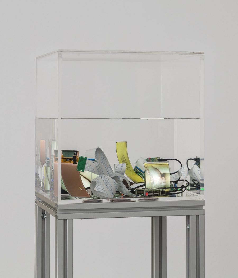 объект/работа из выставки [Permission Denied], 2021