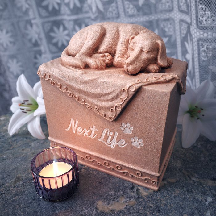 «Next Life», 2021
