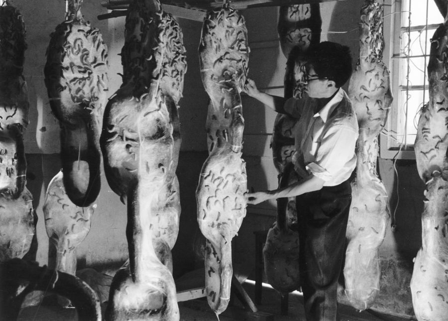 «Chains: The Unbearable Lightness of Being / Nature Series No 79», 2002