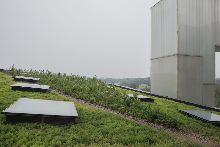 «Weed Plot», 2016