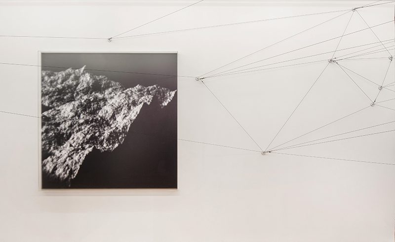 «Observed», 2015