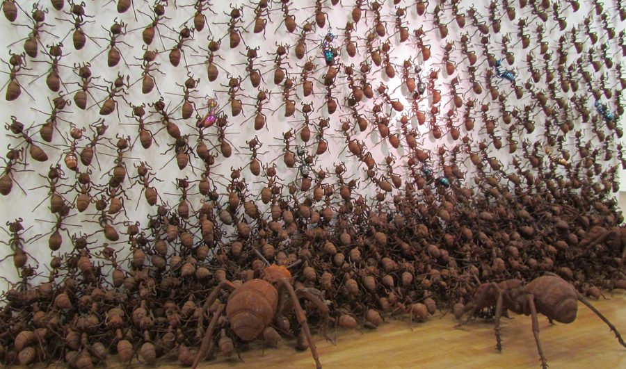 Magischer Raum (инсталляция примерно, 2022