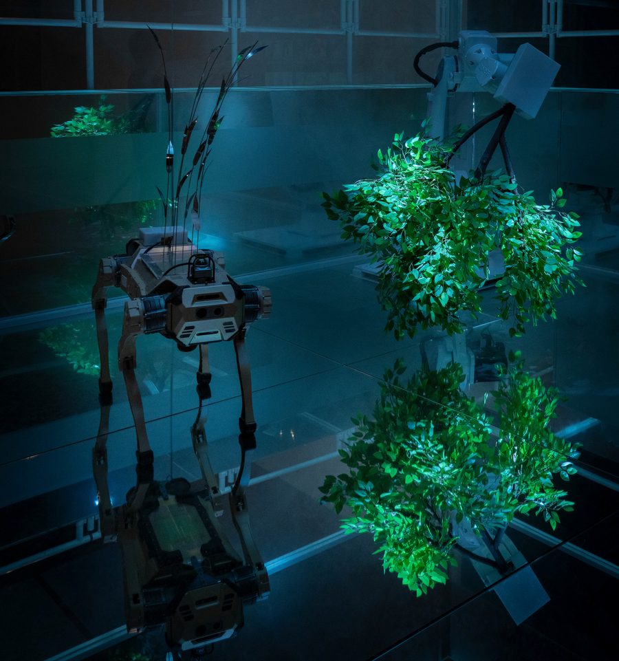 Symbiosis of Agents, 2024