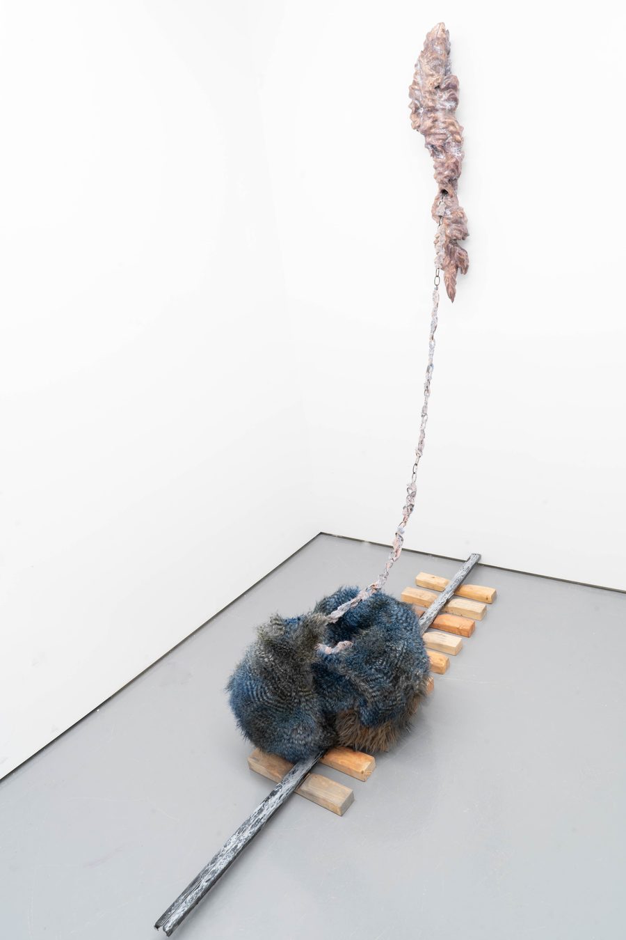 Echo Youyi Yan currently lives and works in New Yo