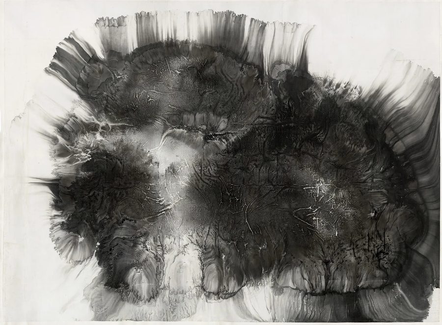 Sunflowers with Three Faces, 2010